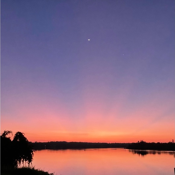 Meet your Posher, Julie - Picture 1 of 2